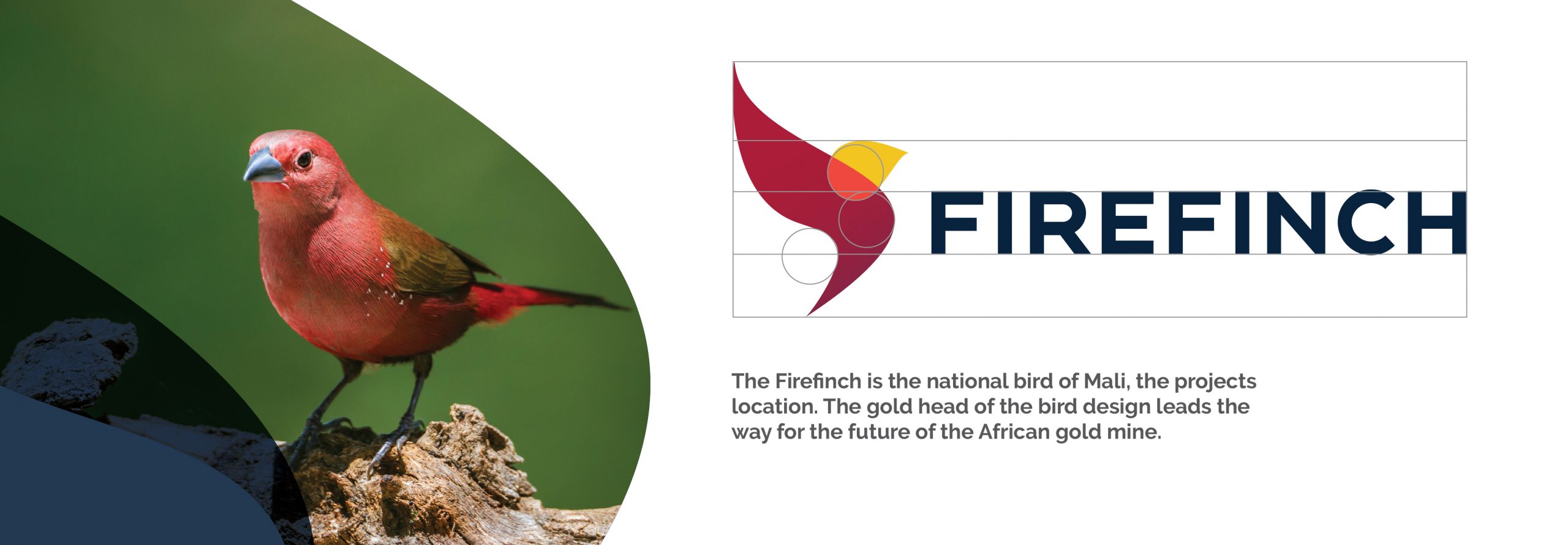 Firefinch Brand Development